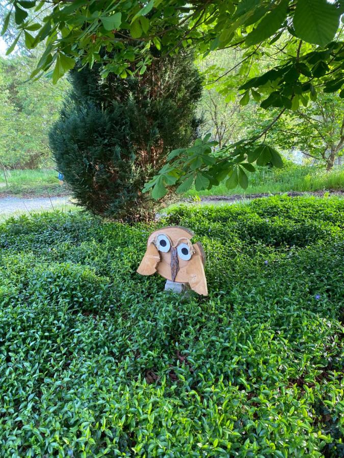 Urlaub In Der Natur Lüdenscheid Екстериор снимка