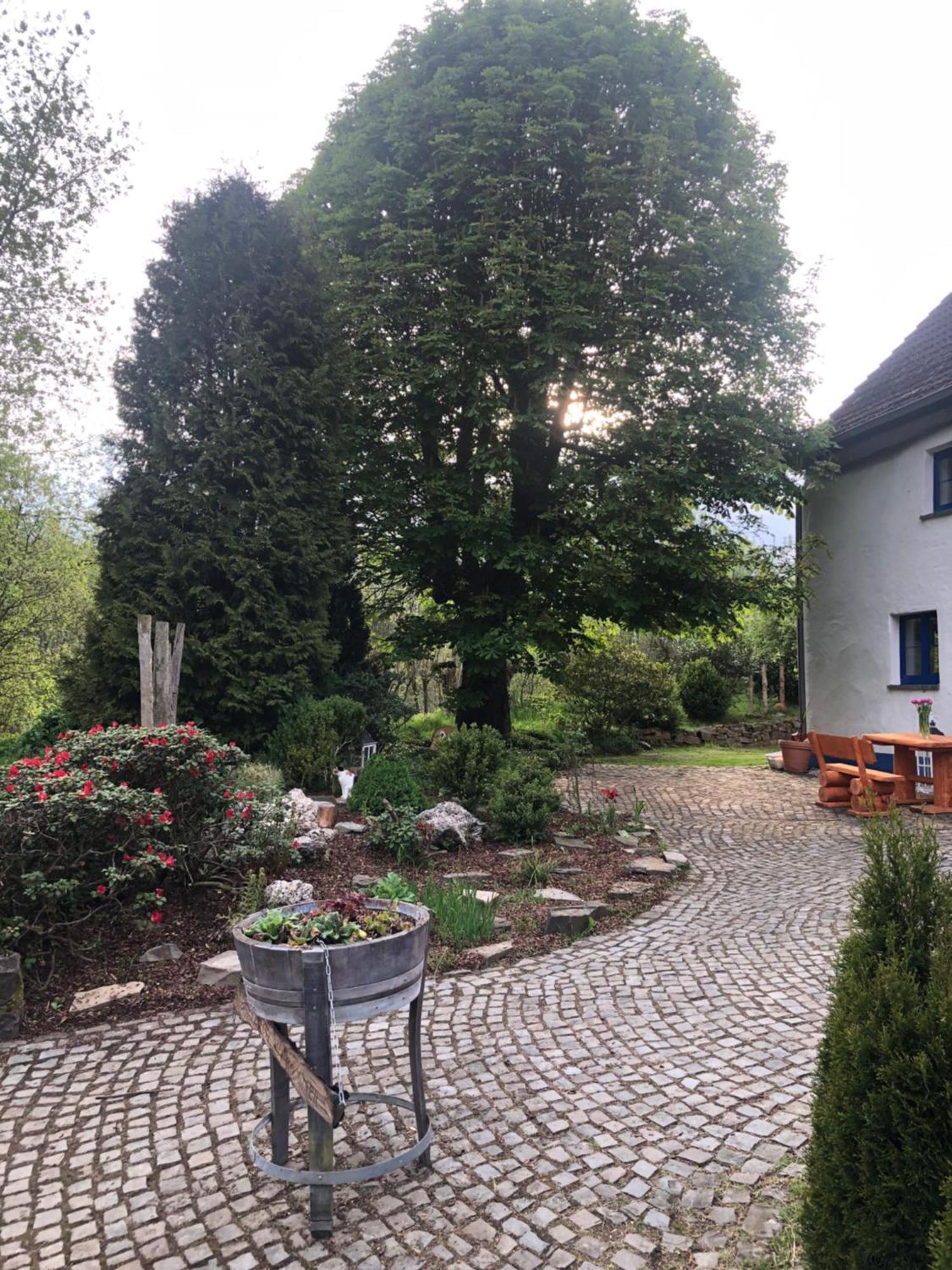 Urlaub In Der Natur Lüdenscheid Екстериор снимка